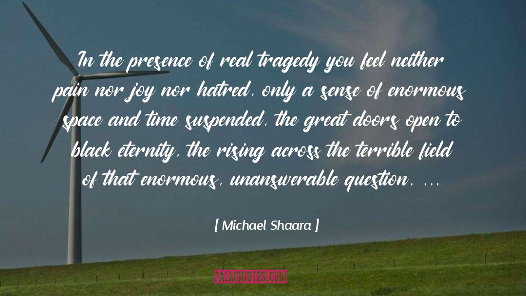 Ruin And Rising quotes by Michael Shaara