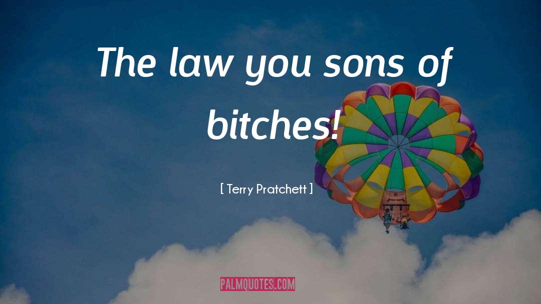 Rules Of Law quotes by Terry Pratchett