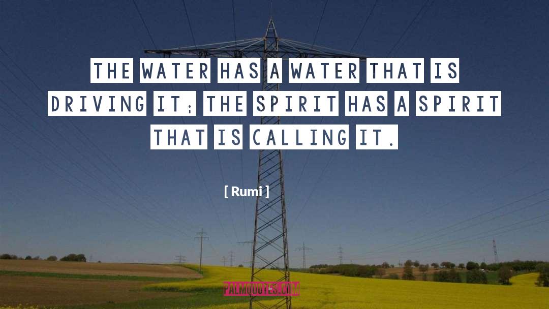 Rumi quotes by Rumi