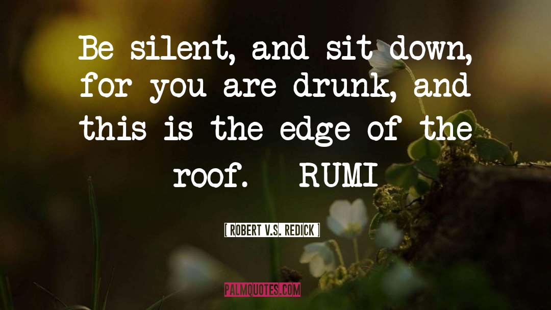 Rumi S Birthday quotes by Robert V.S. Redick