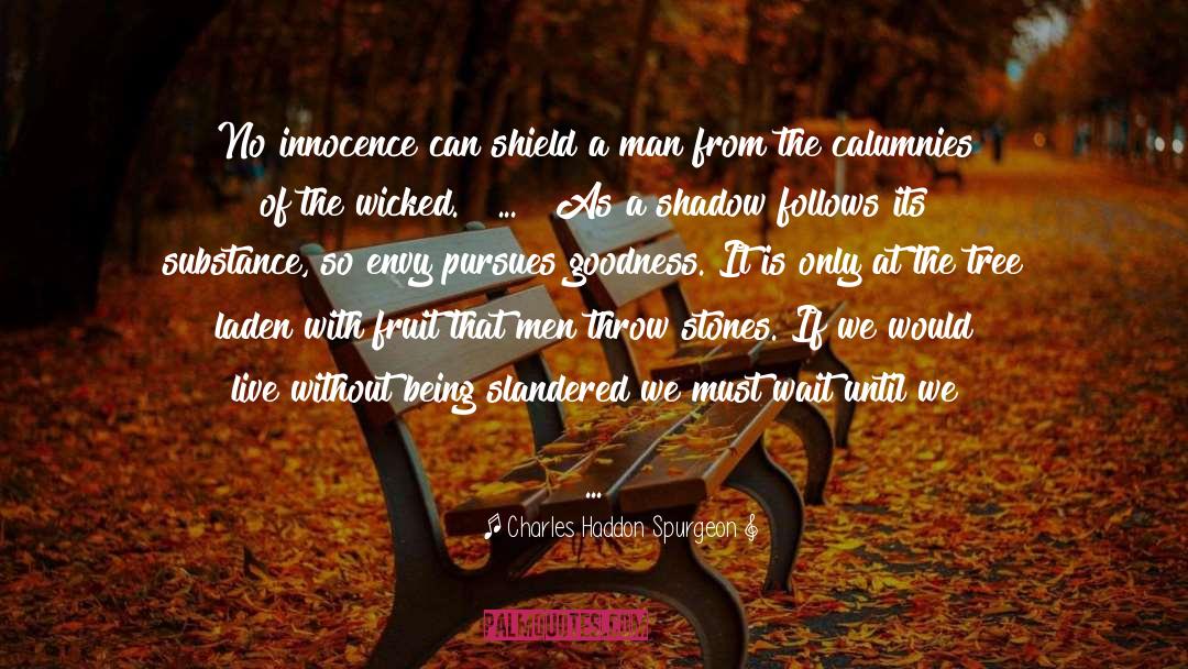 Rumors And Karma quotes by Charles Haddon Spurgeon