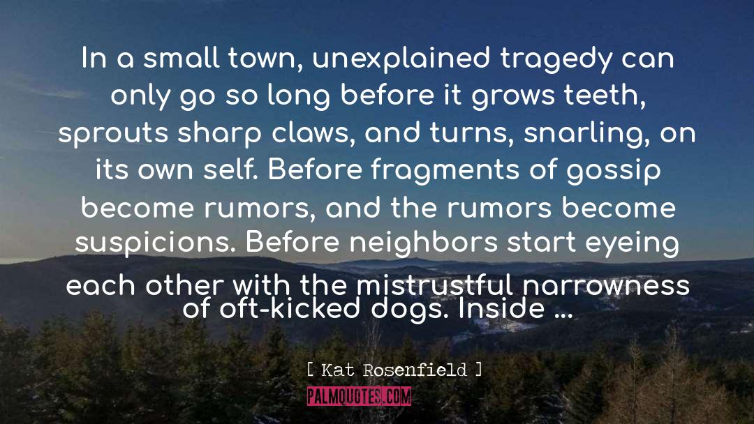 Rumors quotes by Kat Rosenfield