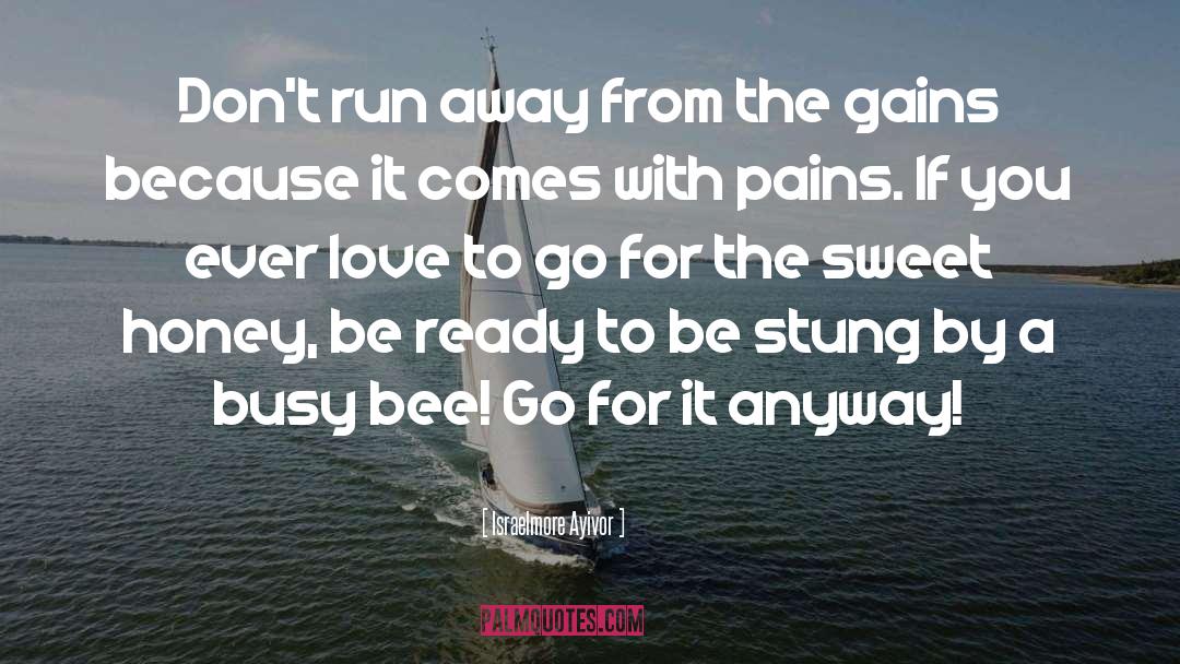 Run Away quotes by Israelmore Ayivor