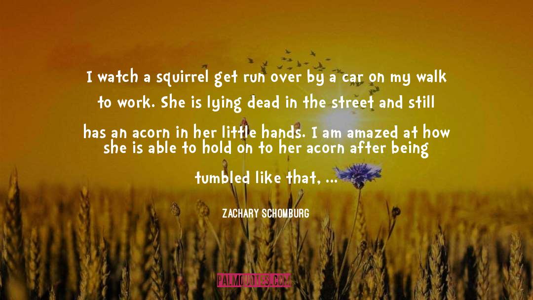 Run Over quotes by Zachary Schomburg