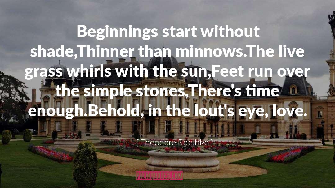 Run Over quotes by Theodore Roethke