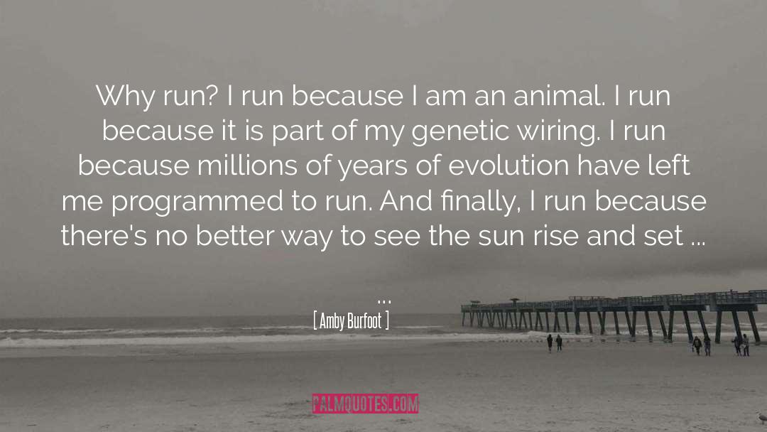 Run quotes by Amby Burfoot