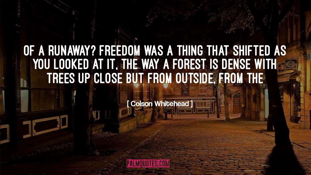 Runaway quotes by Colson Whitehead