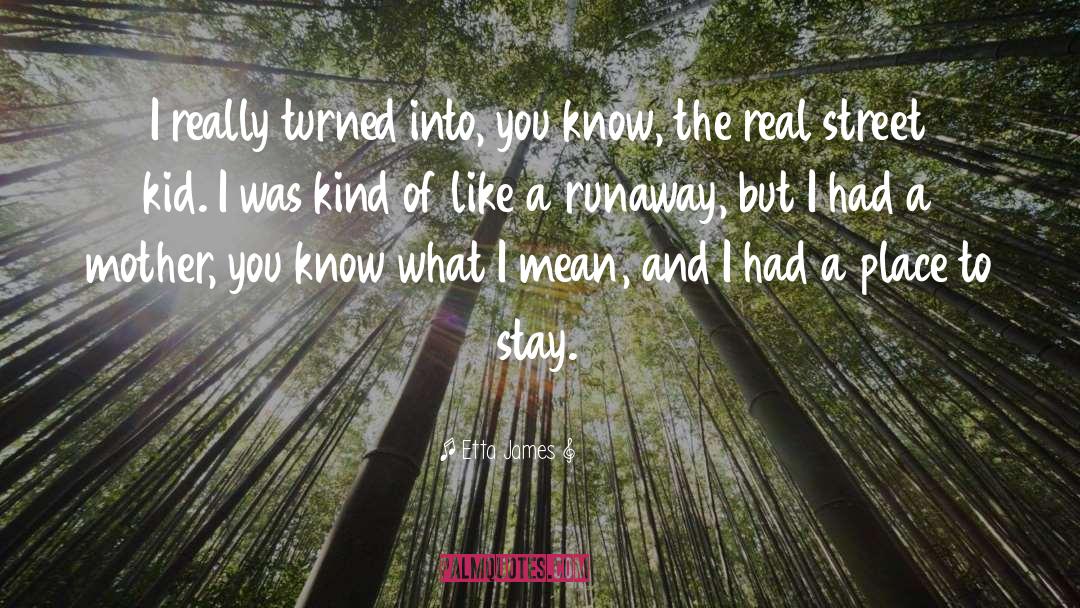 Runaway Teens quotes by Etta James