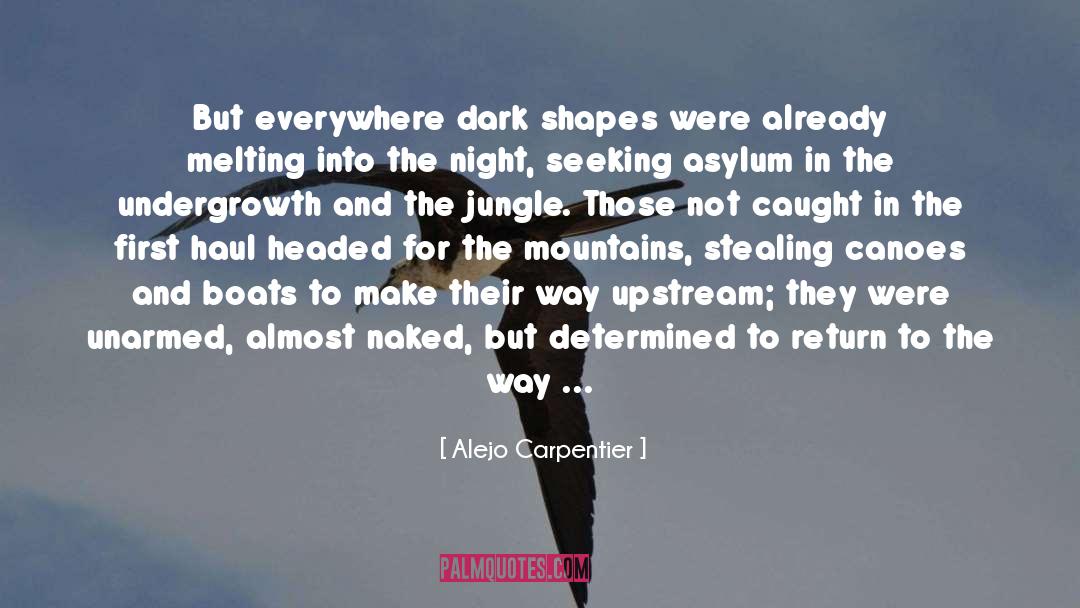 Runaways quotes by Alejo Carpentier
