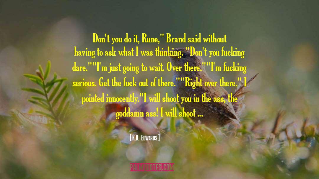 Rune quotes by K.D.  Edwards