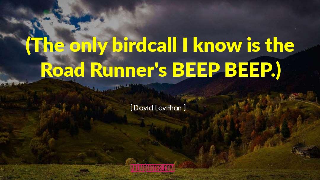 Runners quotes by David Levithan