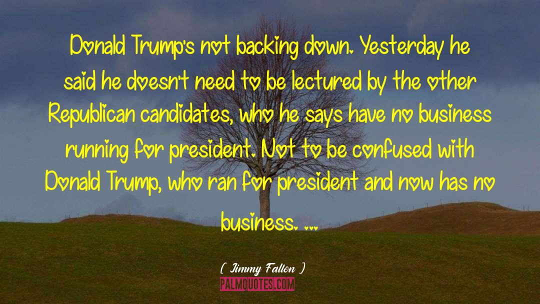 Running For President quotes by Jimmy Fallon