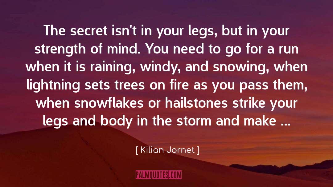 Running Funny quotes by Kilian Jornet