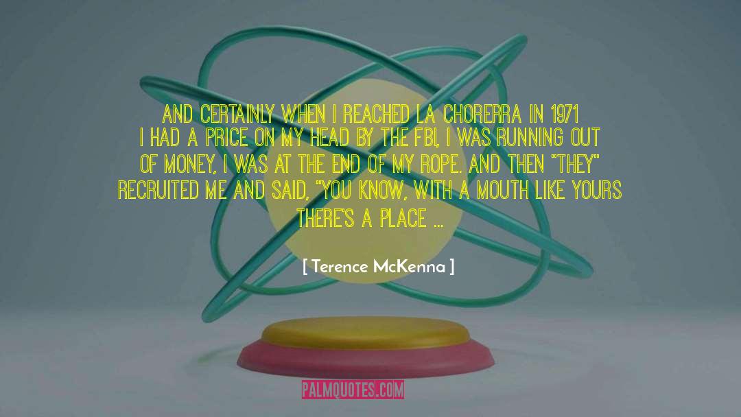 Running Out quotes by Terence McKenna