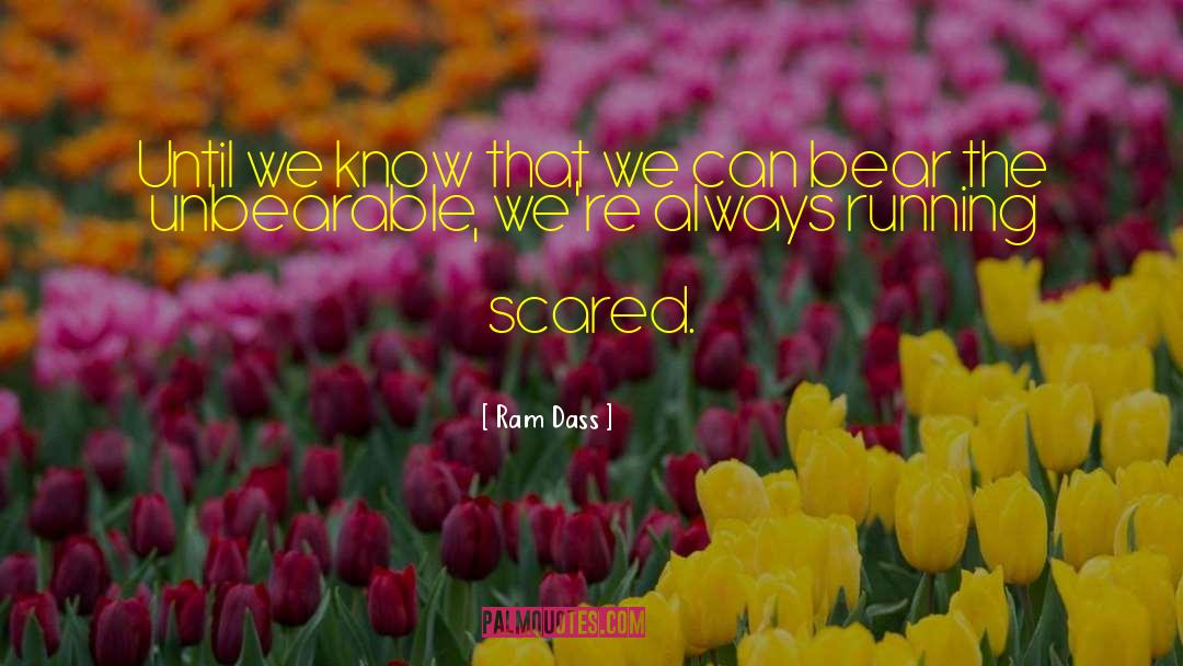 Running Scared quotes by Ram Dass