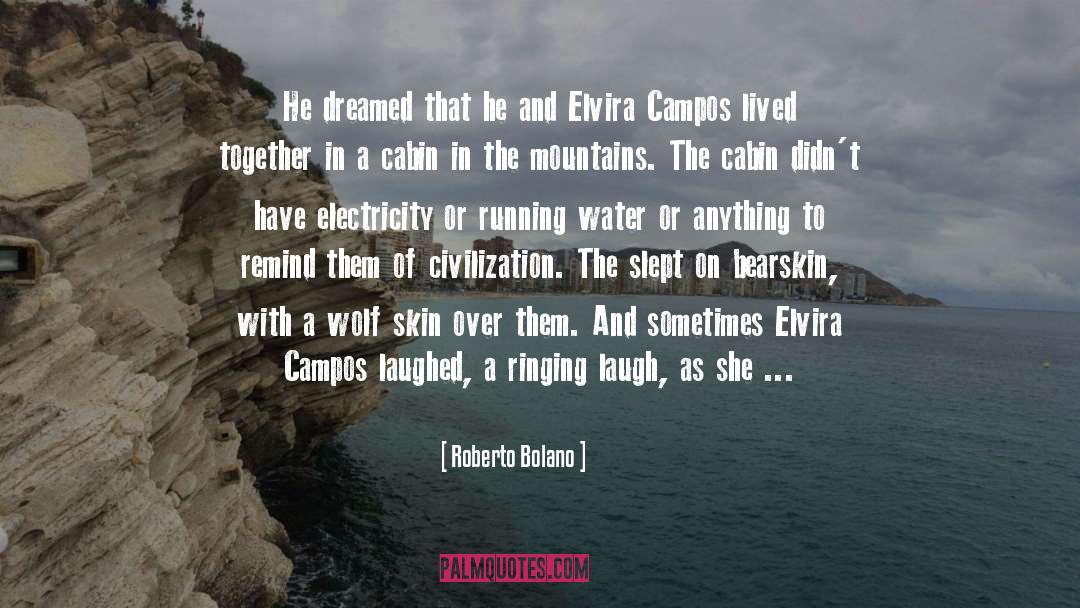 Running Water quotes by Roberto Bolano