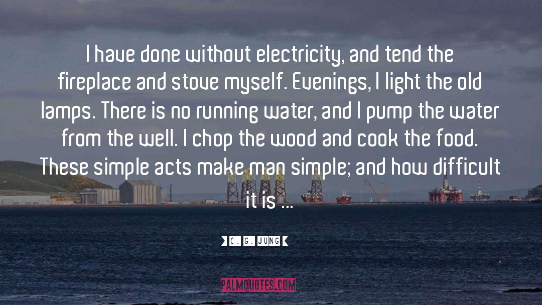 Running Water quotes by C. G. Jung