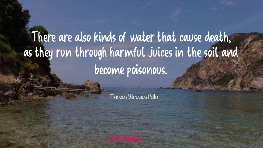 Running Water quotes by Marcus Vitruvius Pollio