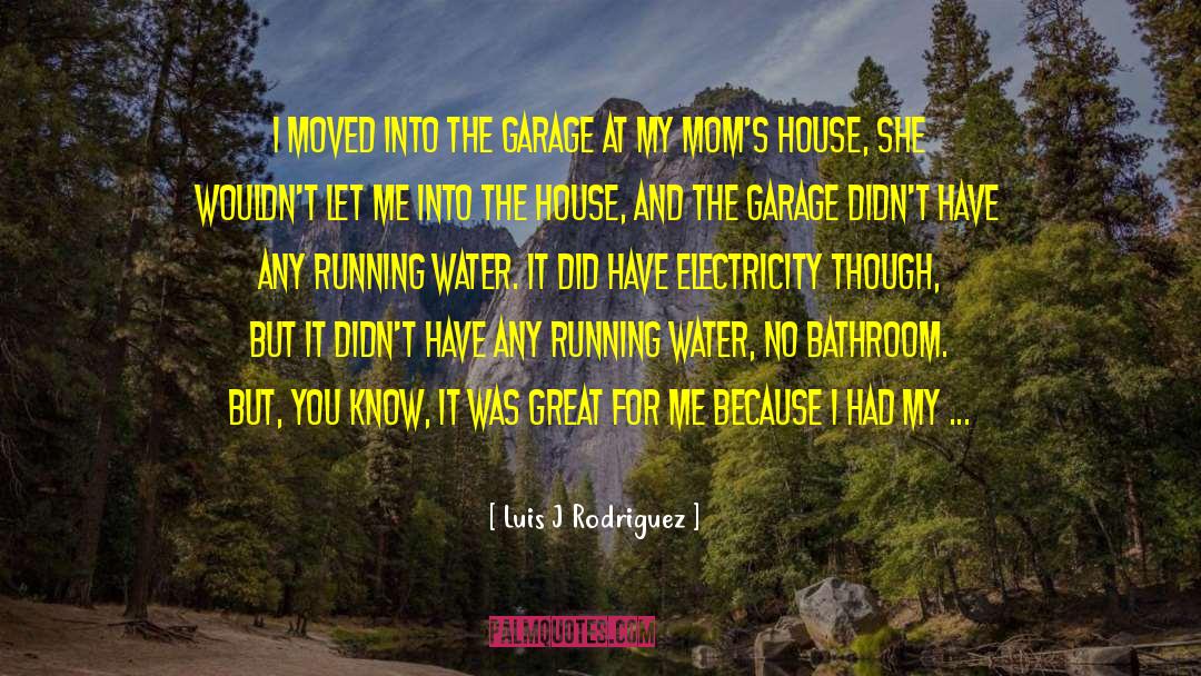 Running Water quotes by Luis J Rodriguez