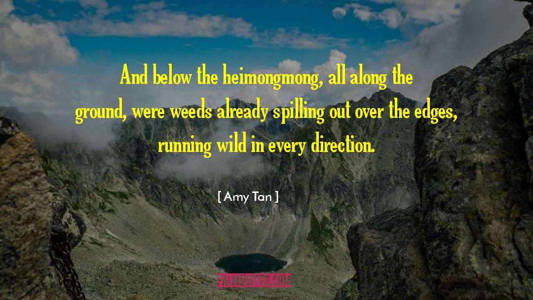Running Wild quotes by Amy Tan