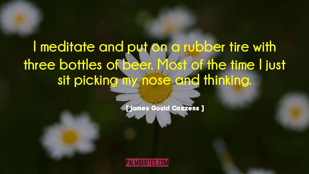 Runny Nose quotes by James Gould Cozzens