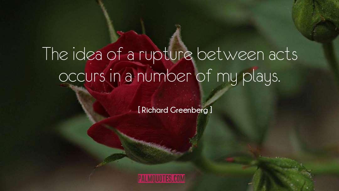 Rupture quotes by Richard Greenberg