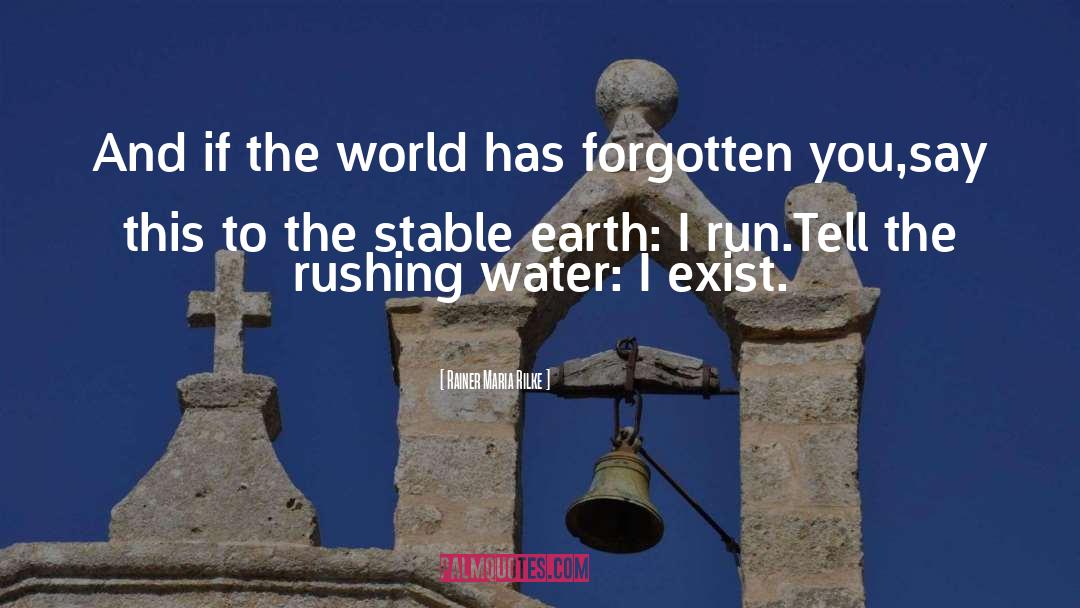 Rushing Water quotes by Rainer Maria Rilke