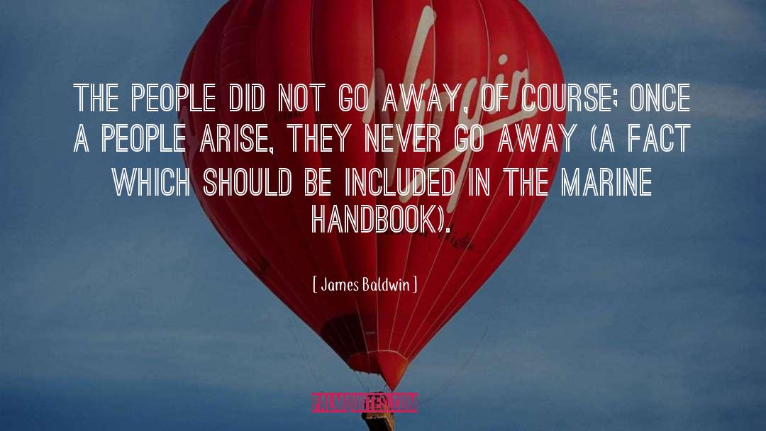 Russian Debutante S Handbook quotes by James Baldwin
