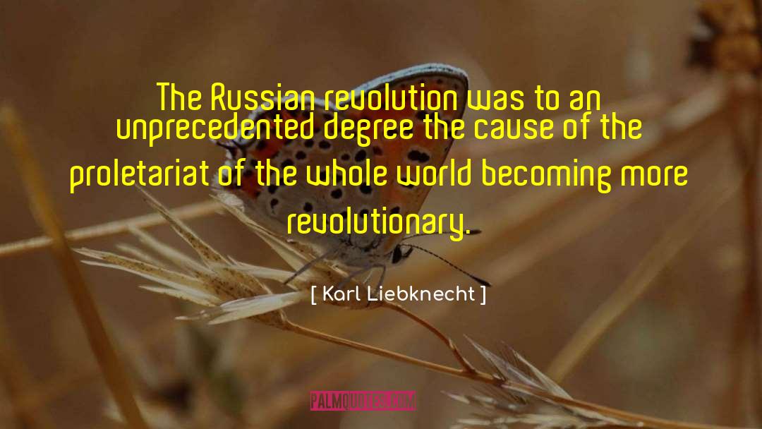 Russian Revolution quotes by Karl Liebknecht
