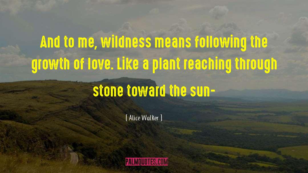 Ruth Stone quotes by Alice Walker