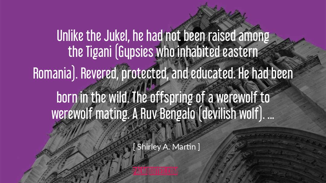 Ruv Bengalo quotes by Shirley A. Martin