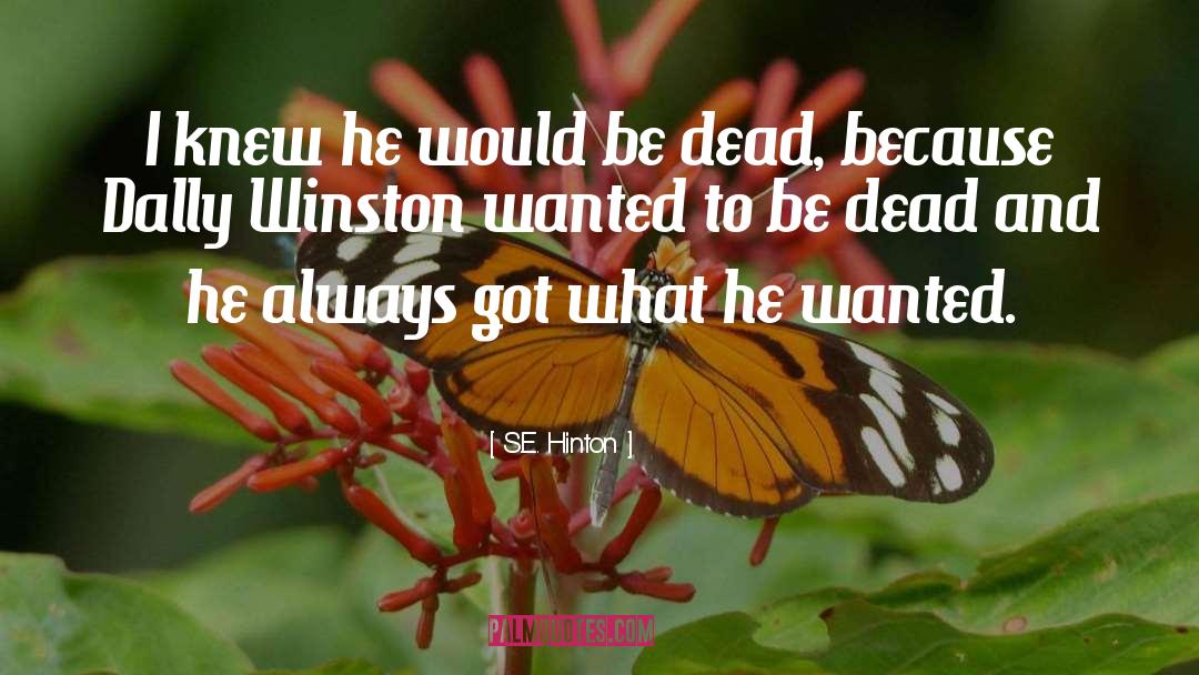 S E Hinton quotes by S.E. Hinton