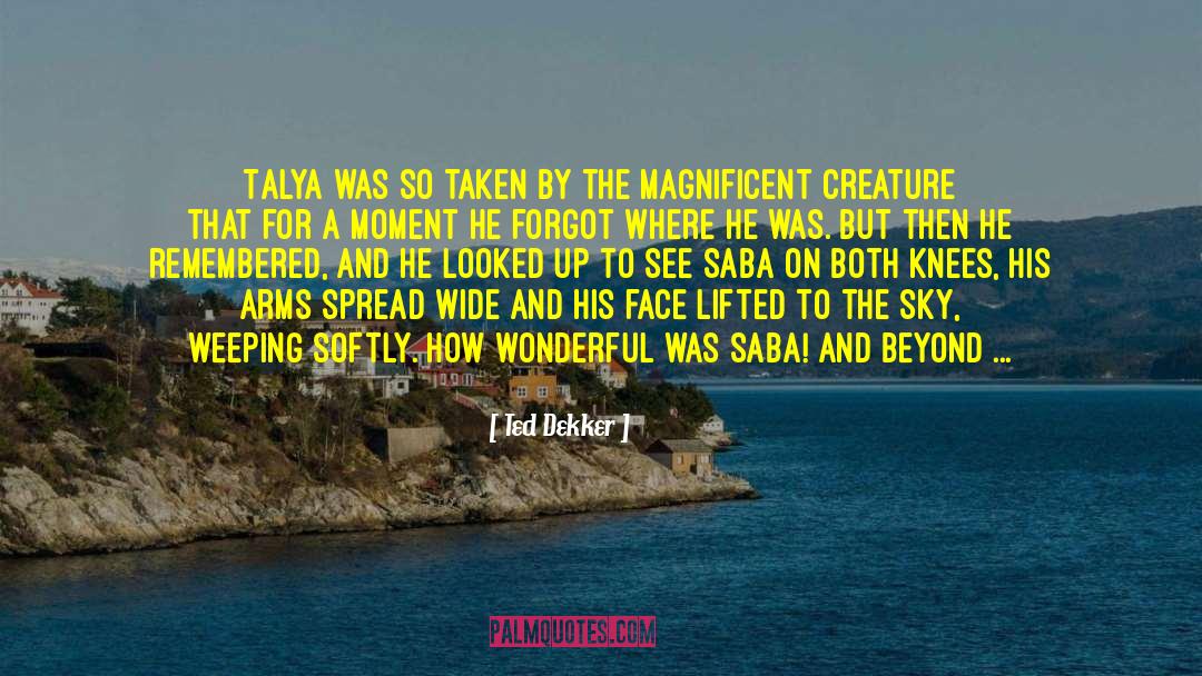 Saba quotes by Ted Dekker