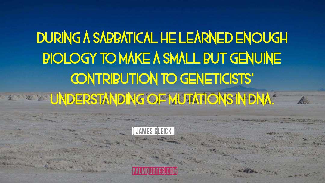 Sabbatical Inspirational quotes by James Gleick