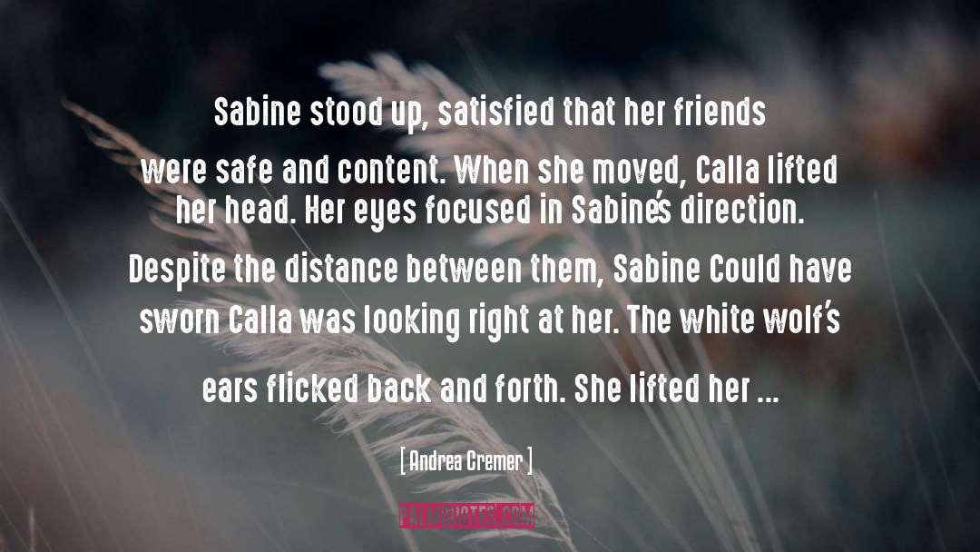 Sabine quotes by Andrea Cremer