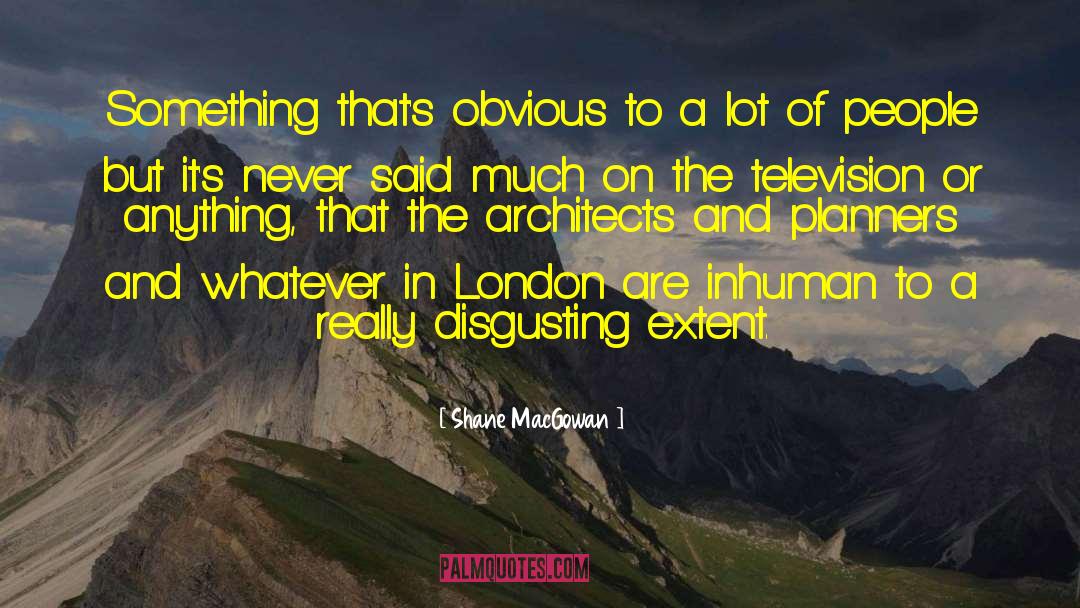 Saccoccio Architects quotes by Shane MacGowan