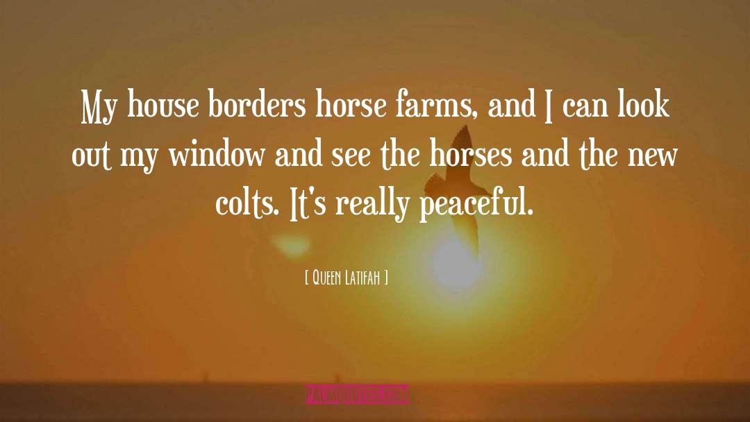 Sackrider Farms quotes by Queen Latifah