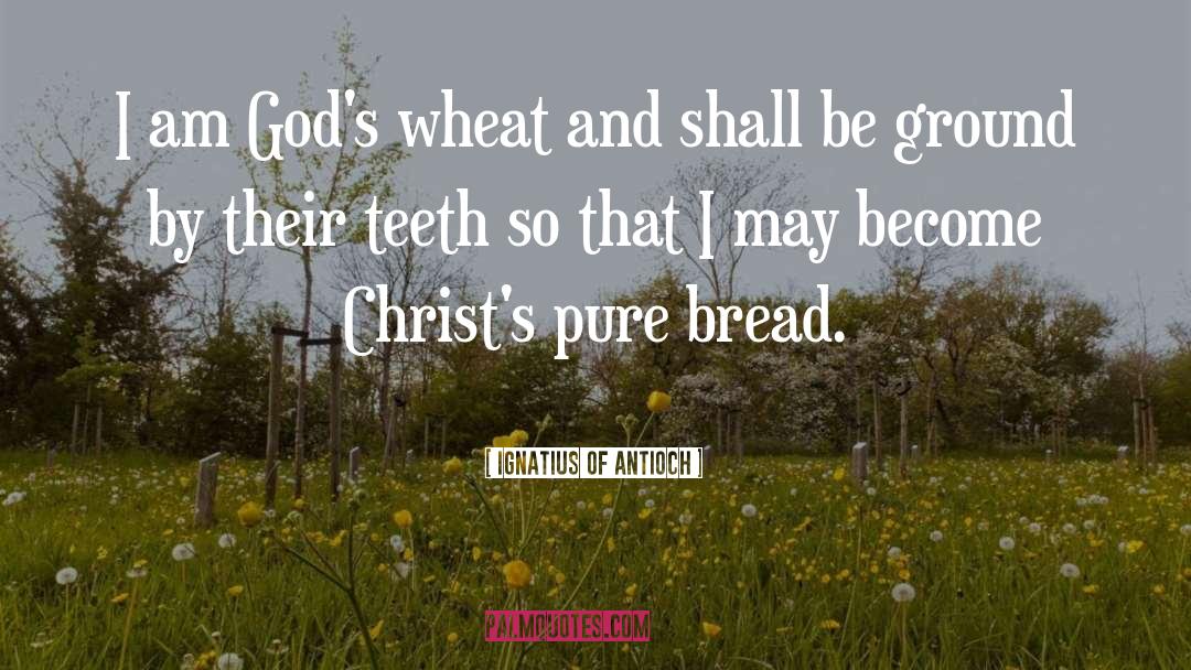 Sacraments quotes by Ignatius Of Antioch