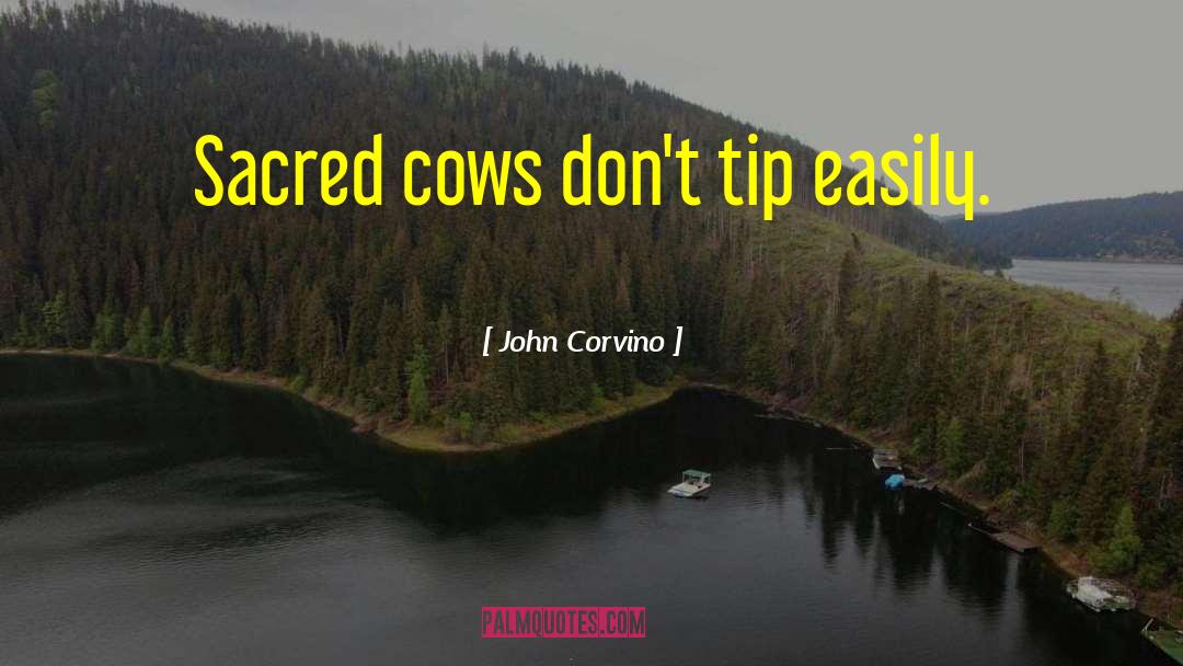 Sacred Callings quotes by John Corvino