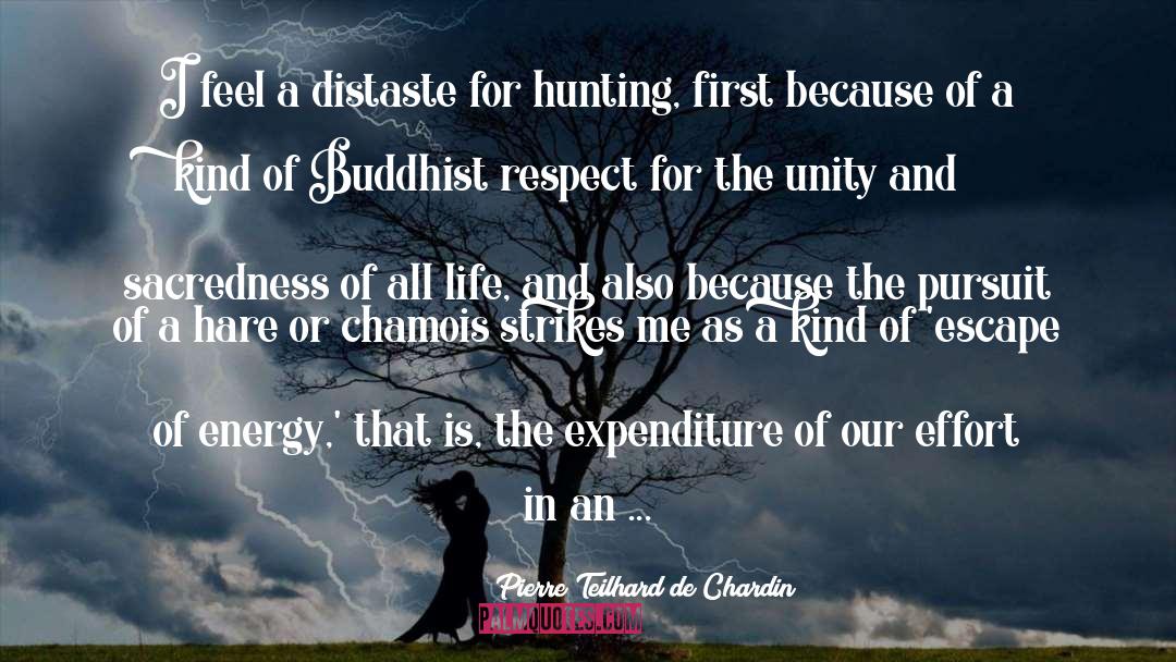 Sacredness quotes by Pierre Teilhard De Chardin