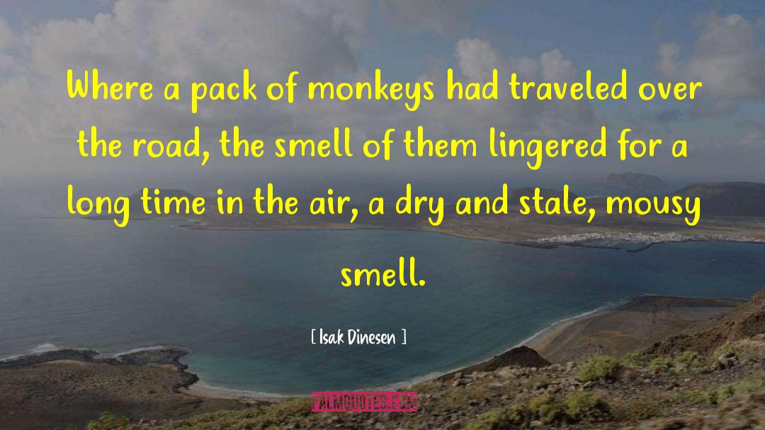 Sad Air quotes by Isak Dinesen