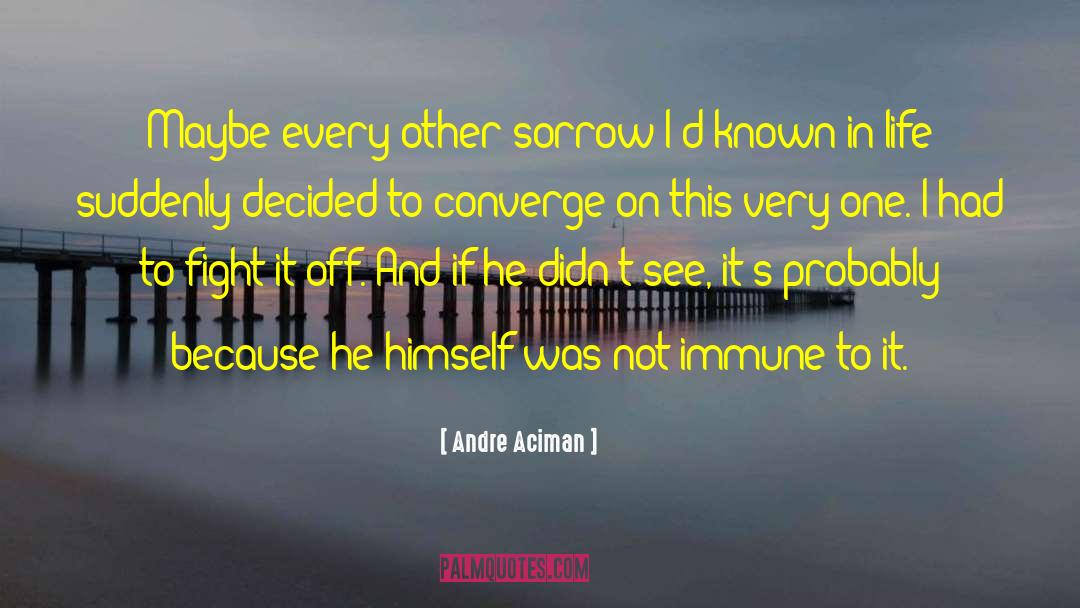 Sad And Friendship quotes by Andre Aciman