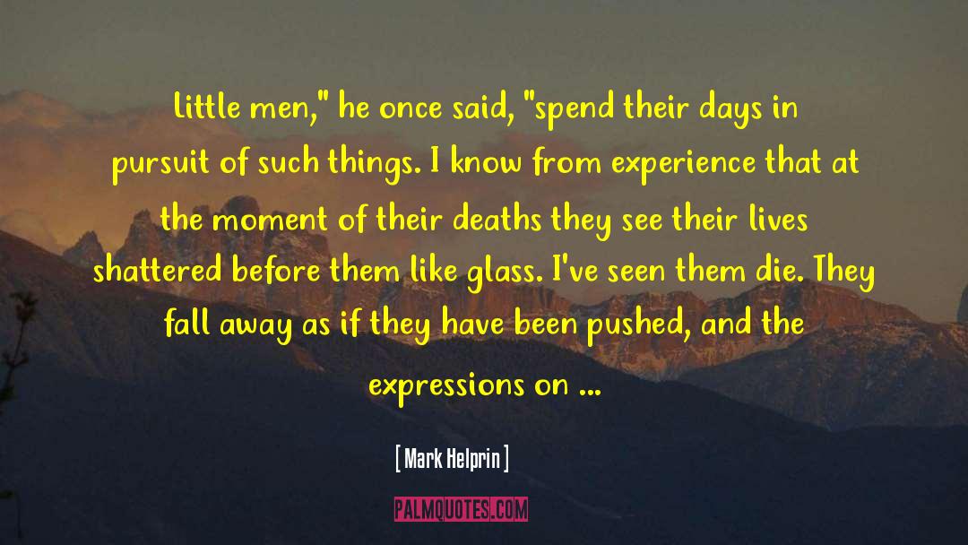 Sad Beauty quotes by Mark Helprin