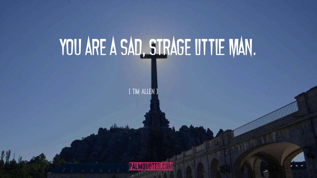 Sad Beauty quotes by Tim Allen
