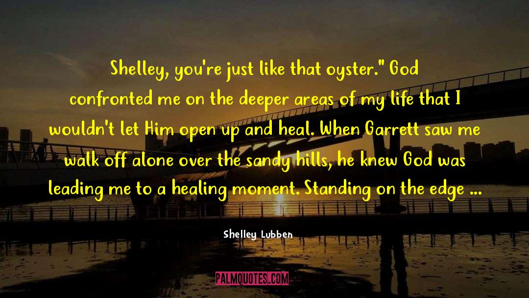 Sad Broken Heart quotes by Shelley Lubben