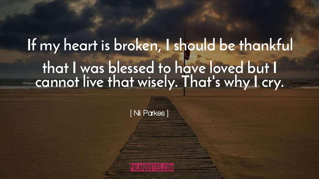 Sad Broken Heart quotes by Nii Parkes