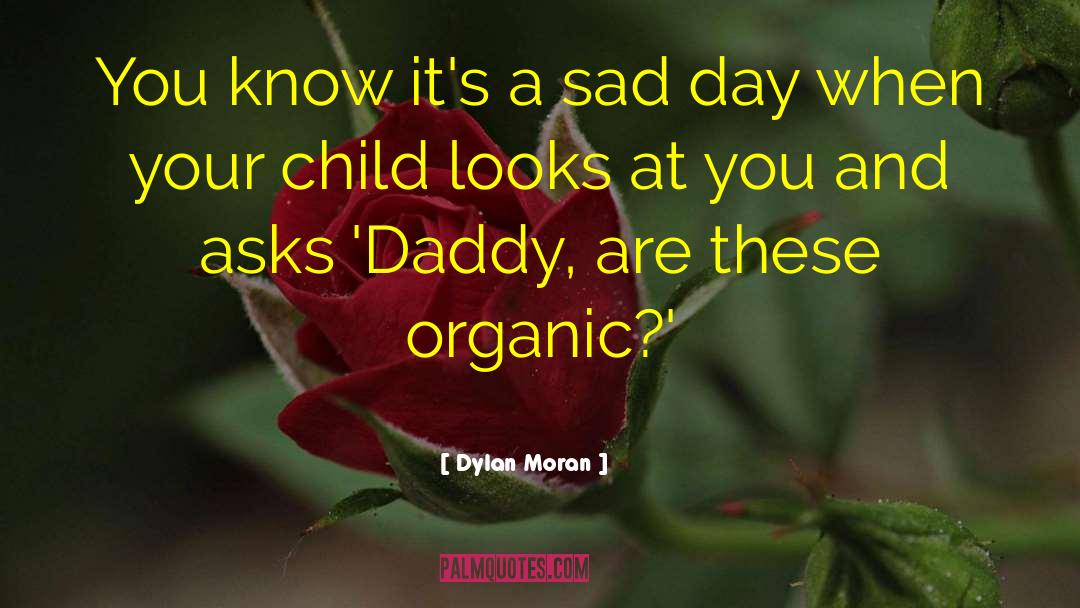 Sad Day quotes by Dylan Moran