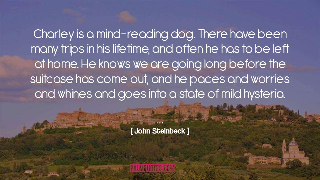 Sad Dog quotes by John Steinbeck