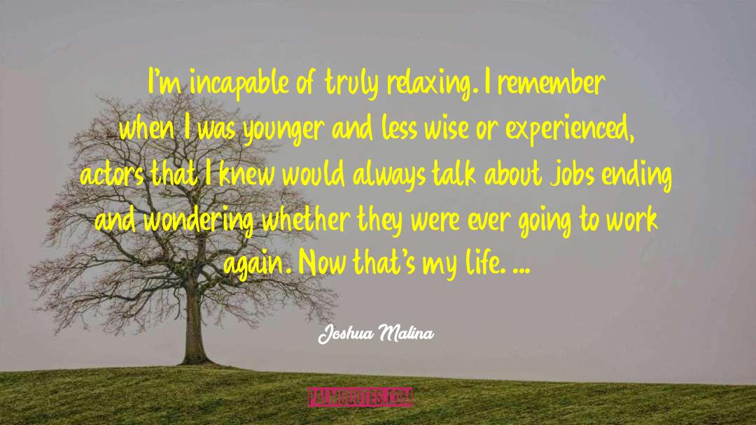 Sad Ending quotes by Joshua Malina