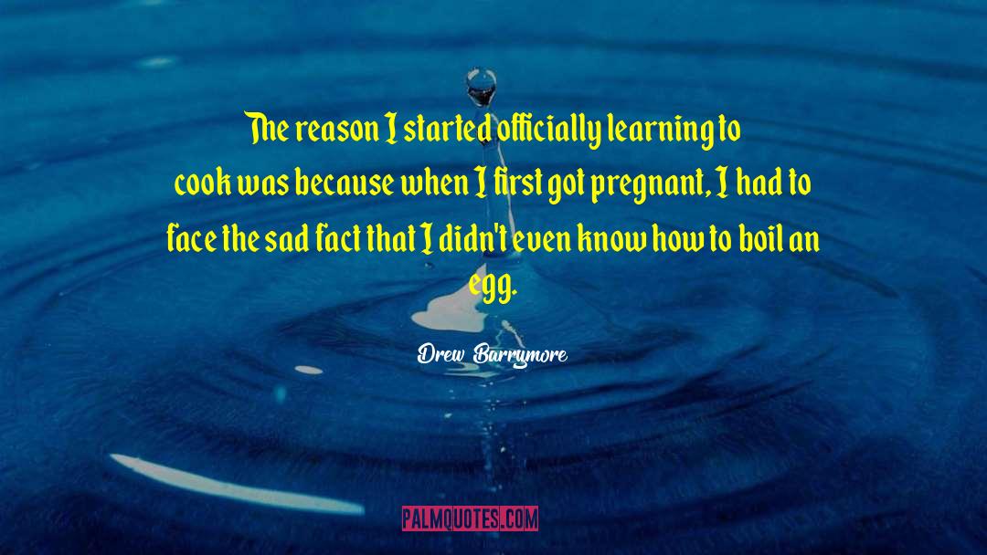 Sad Fact quotes by Drew Barrymore